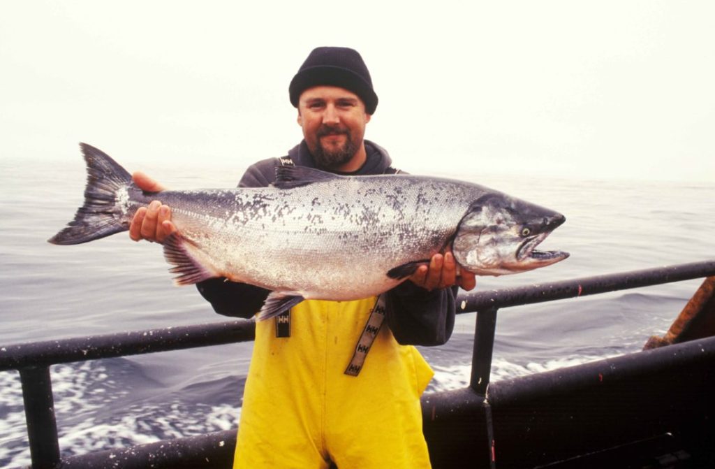 does faroe island salmon have mercury